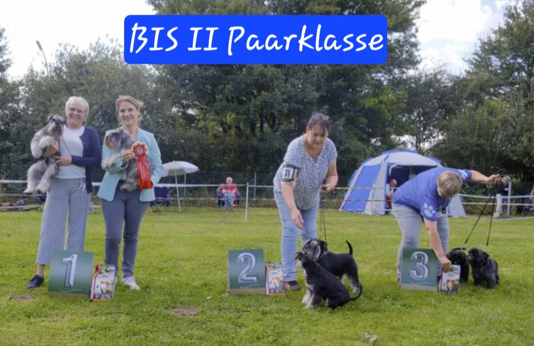 3317721e-dda1-4c6e-b6ce-993fa7b9e540