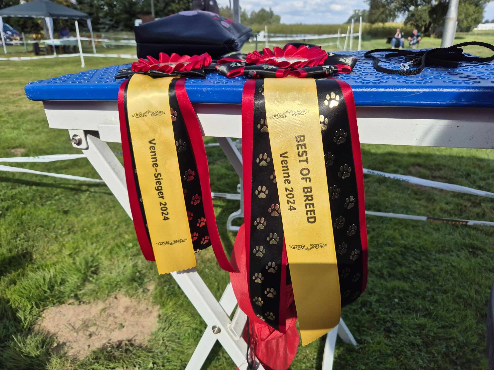 4b402df5-b8de-494b-b0d3-db75f74c1405 4b402df5-b8de-494b-b0d3-db75f74c1405