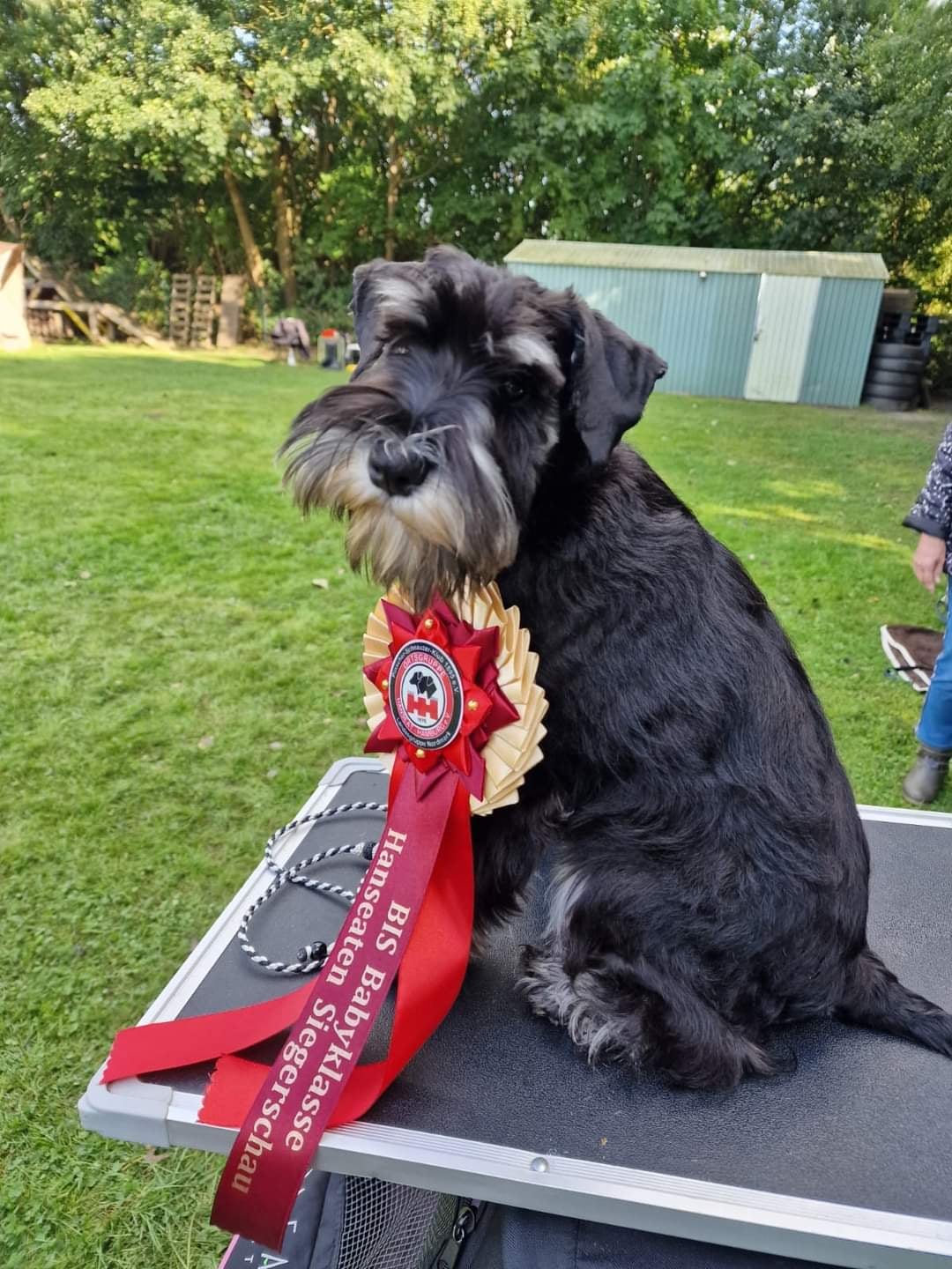 c2f7cc2b-724a-4cf6-affc-1135549050d7 c2f7cc2b-724a-4cf6-affc-1135549050d7