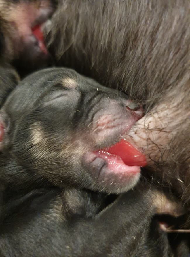 323070267_547743820729368_252497369332857459_n