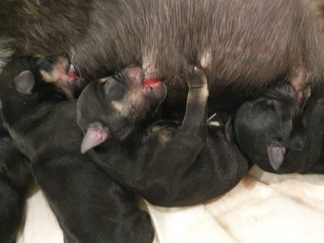 323113900_738843221140134_8462415398756443866_n