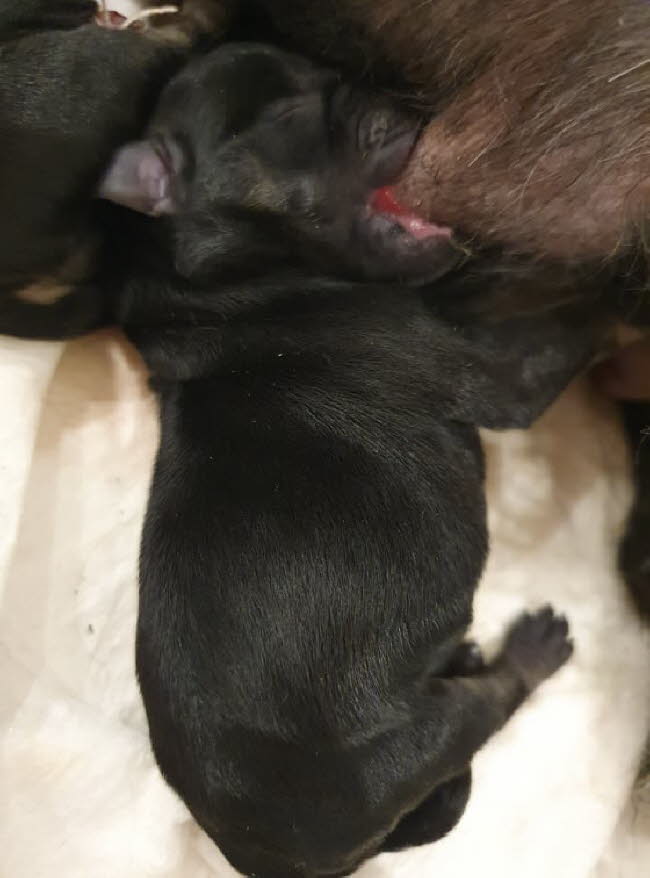 323580290_6351248758235871_6123878151968736163_n