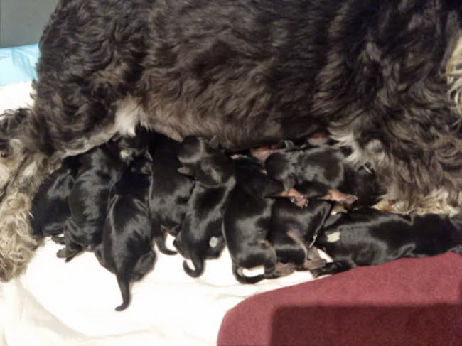 323736465_747952266666576_8686216664935507884_n