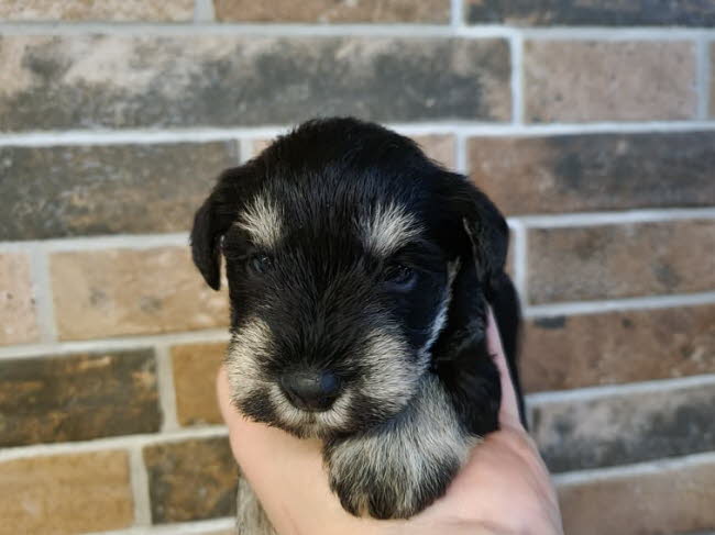 324466150_954161048929441_5235042841568862204_n