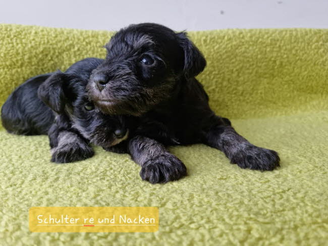 324686781_5771972152925826_5363019278830894421_n