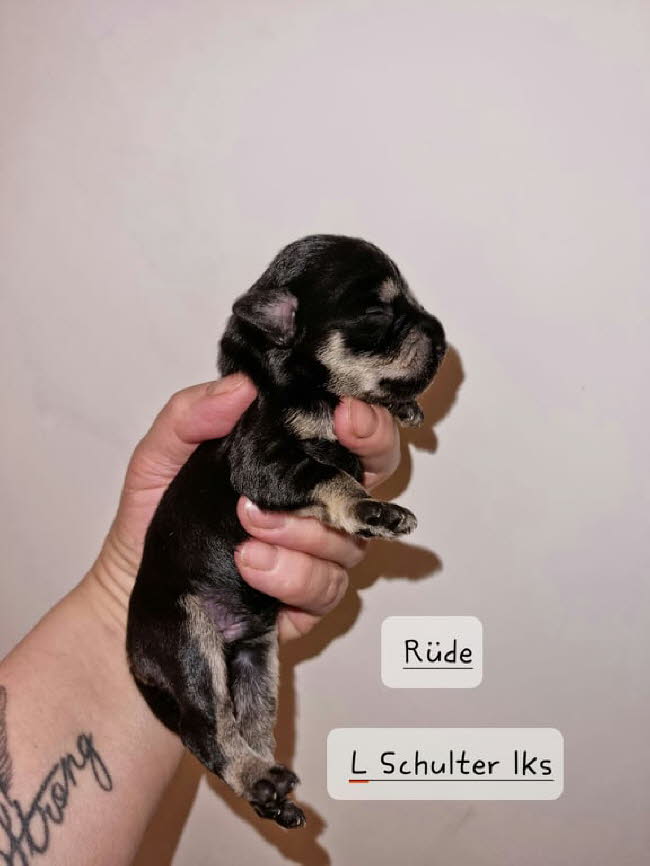 324766084_1356696315078523_512295447554478287_n