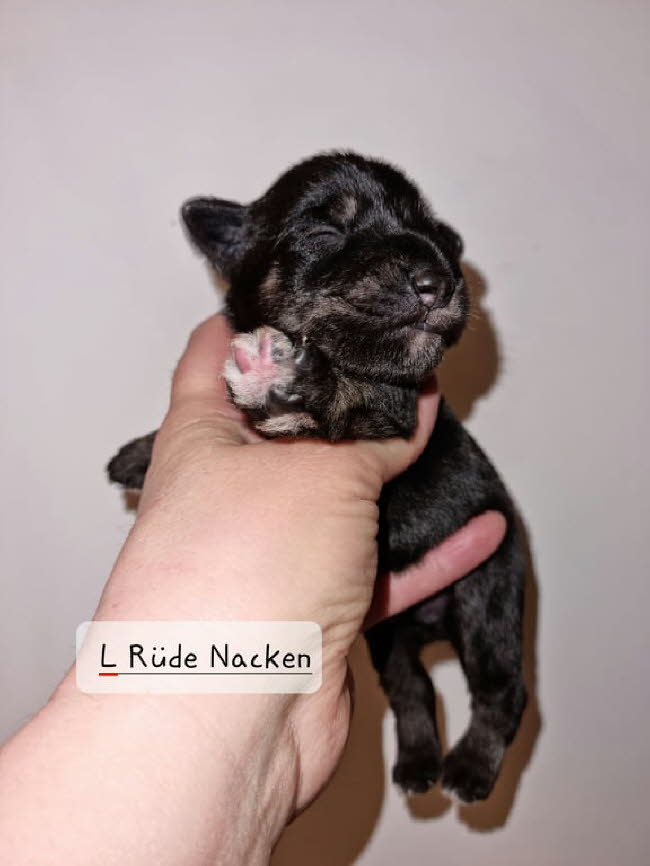 324821904_875868276989582_3399493821759696054_n