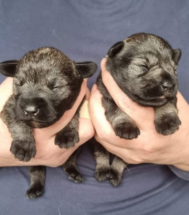 324845358_739934877383768_1359430027924788969_n