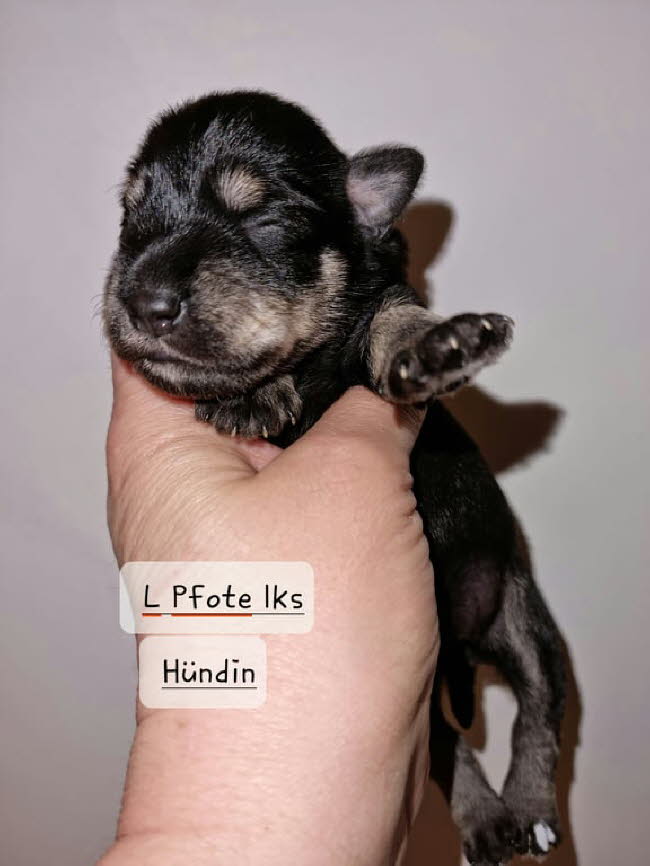 324970015_491096053168564_2852439756470491437_n