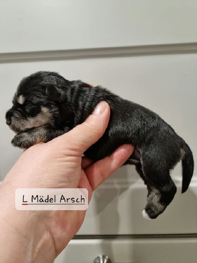 324991413_5939193246124591_1204361119902848475_n