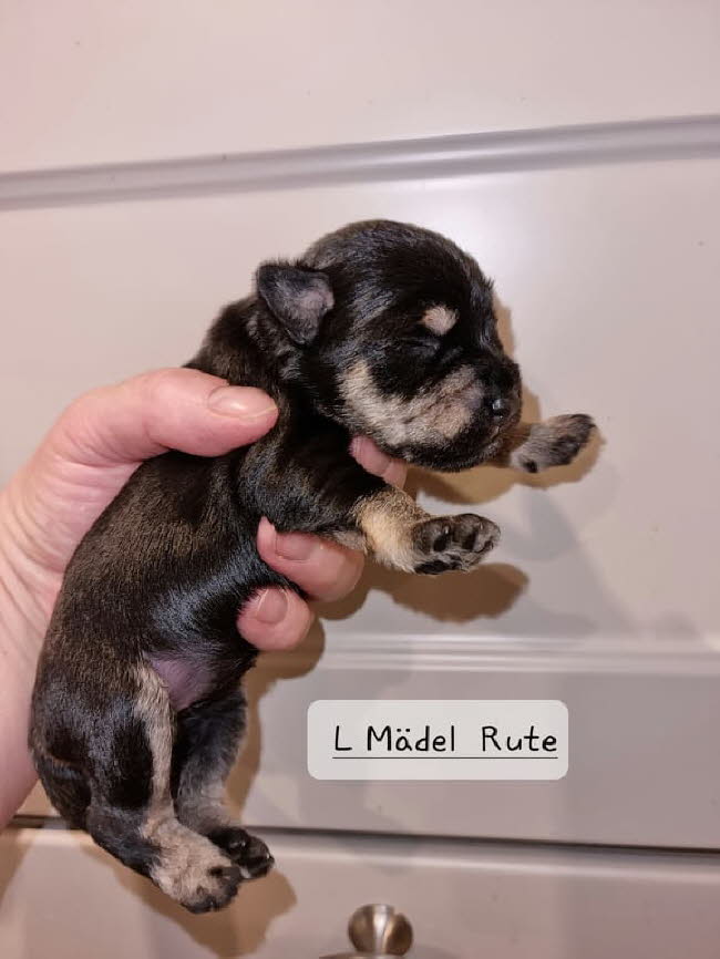 325032650_878246283375637_6835139200724492733_n