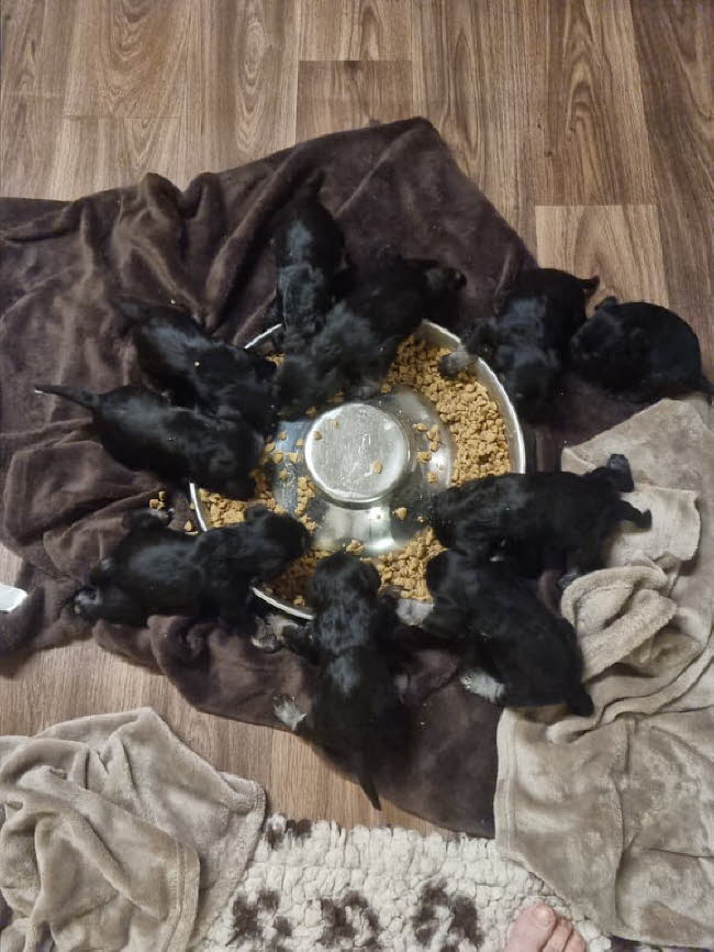 325032984_2723116971158738_5419841950098301061_n