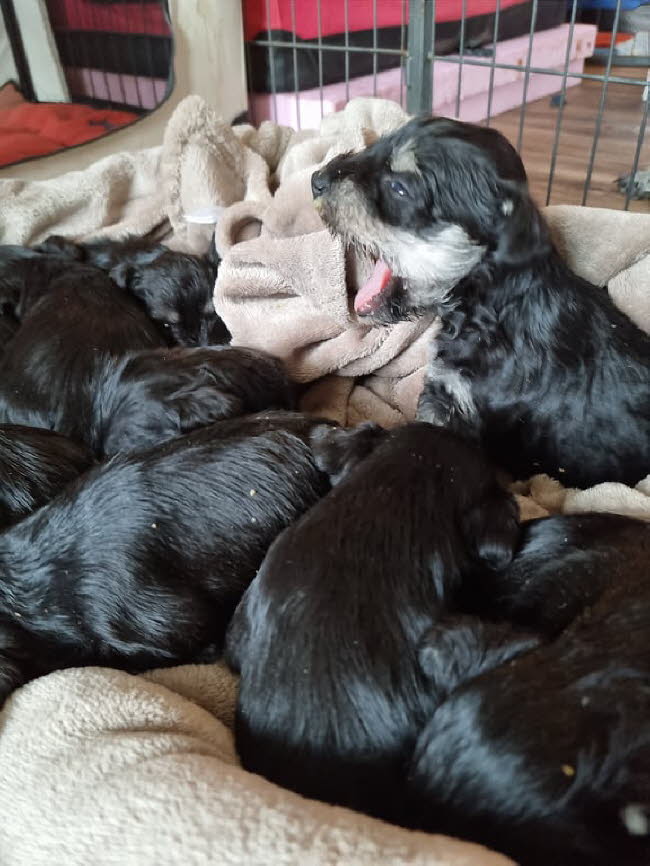 325090811_496787379274808_3790017351875673973_n