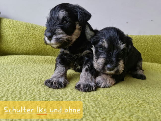 325117361_762131708297679_2818025122224241371_n