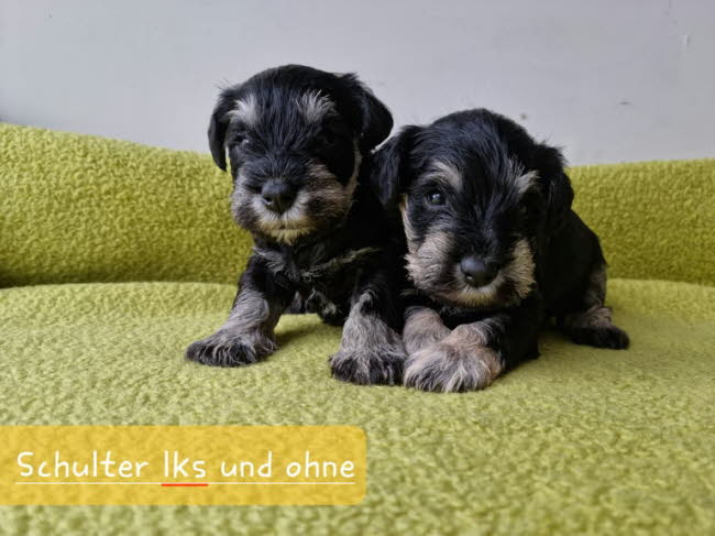 325126613_858810508754402_8641719227028544920_n