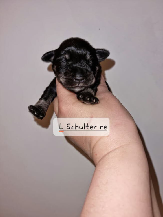 325166538_720937129441919_874909138200092694_n