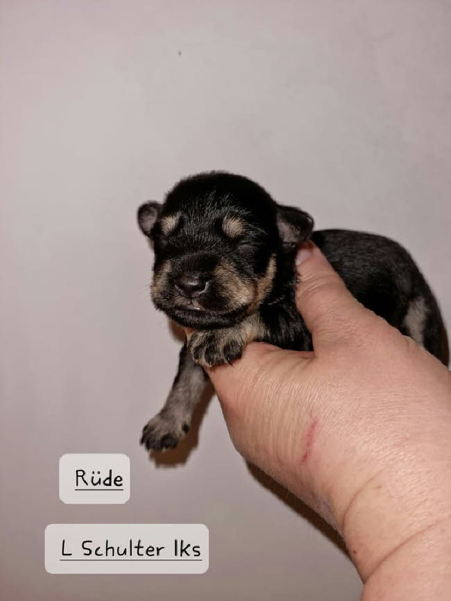 325175958_672639861230982_8143178497526998915_n