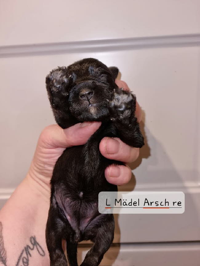 325177747_958566768458664_628172017419799666_n