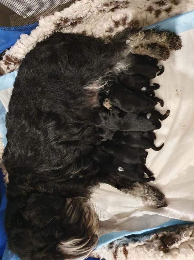 325246014_554444996704231_1723394825804845535_n