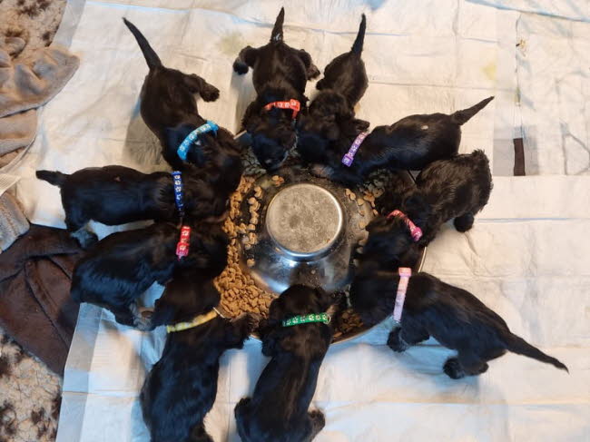 325248416_695114122317868_8157715322416809871_n