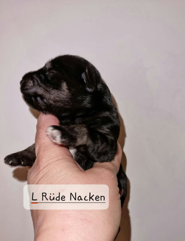 325250104_704241181194100_1410741551904527126_n