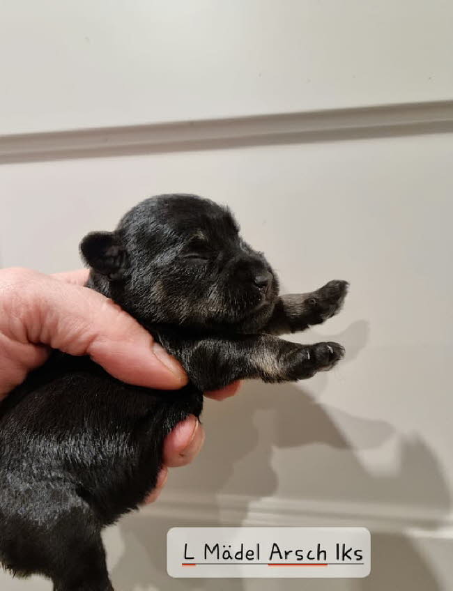 325277706_3304995316410312_5837251466983679376_n