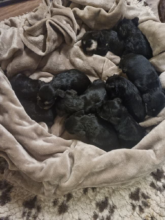 325371135_3303316526599883_4736794880114011600_n