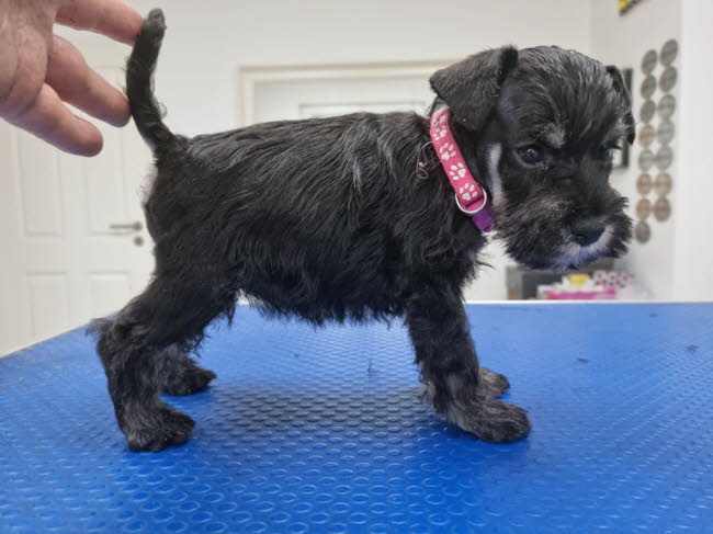 325477438_577355967609762_6036220785325361581_n