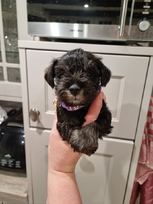 325531784_562013509314132_3075601975562502281_n