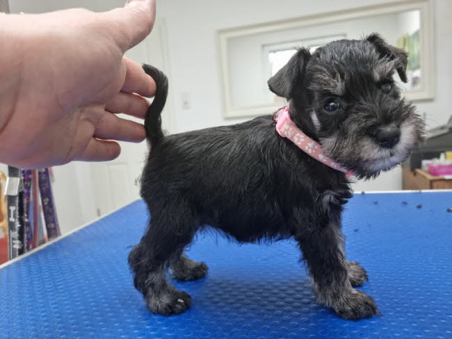 325552561_843399066751458_5923165582881088802_n