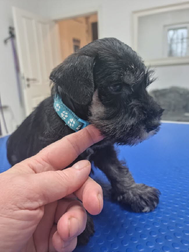 325608062_1266431577419570_4368914627890445317_n