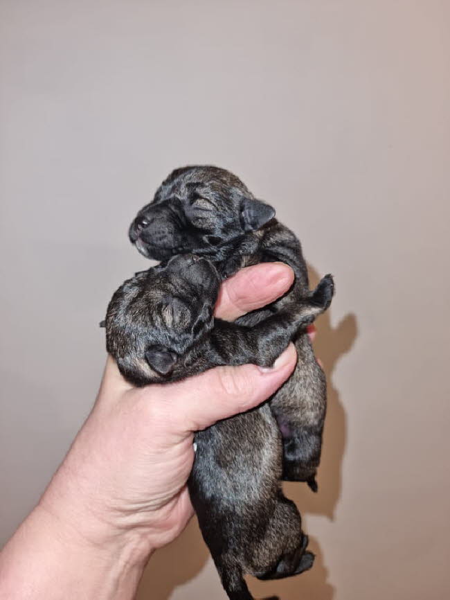 325682109_563741978721791_3625998575007533449_n