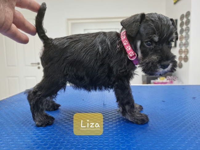 325691299_706309444558133_3123750300346483185_n