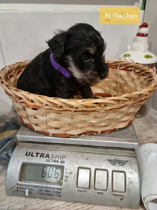 325800317_1166440910904113_7594486554529548468_n