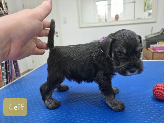 325899110_744175150370397_6311153328877302205_n