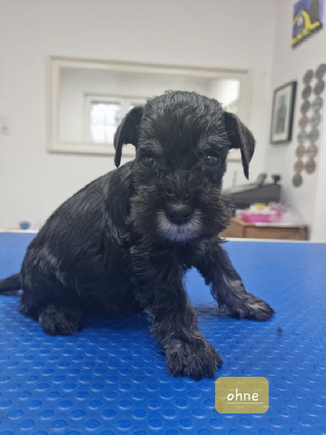 325933637_1227900711482920_8299183823688644244_n