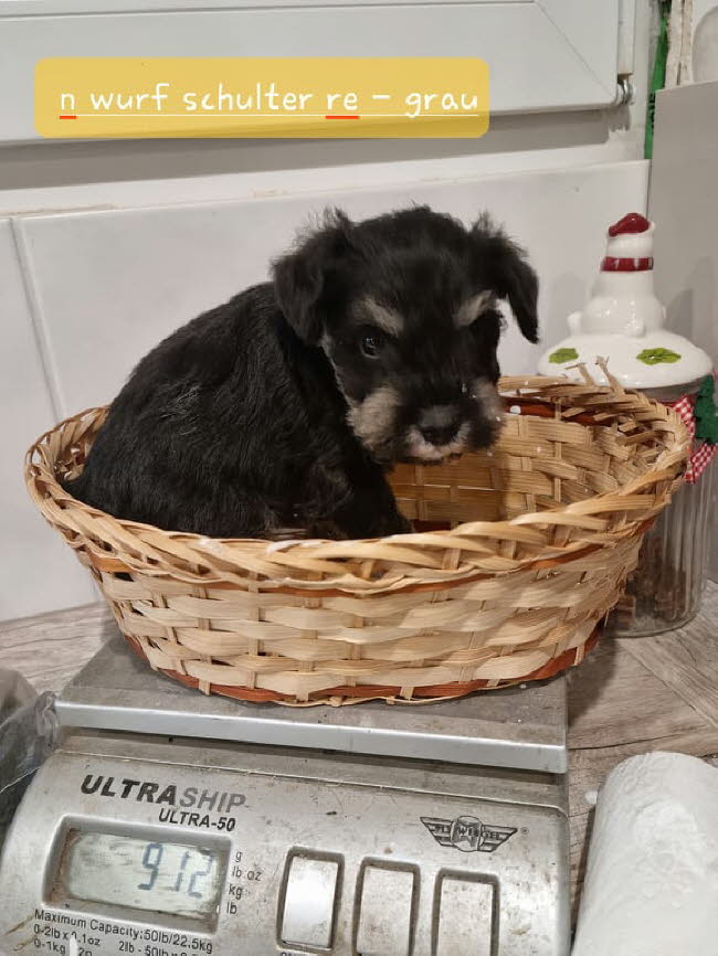 325989760_1194931604486973_6572407701971947313_n