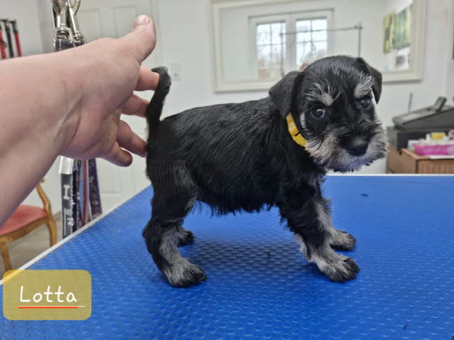 326001853_746805750004452_5665684500220297543_n