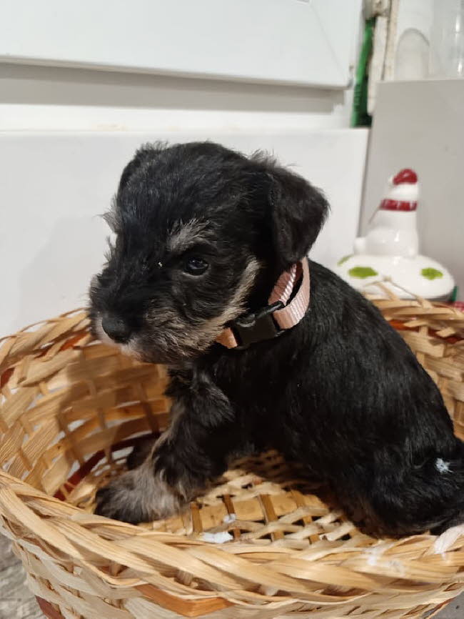 326212316_523973853059719_2500939288446210543_n