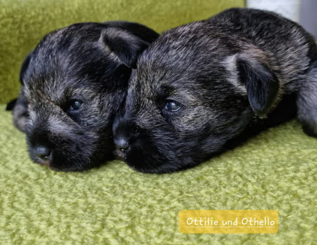 326258037_570460664968237_7039583870031769952_n