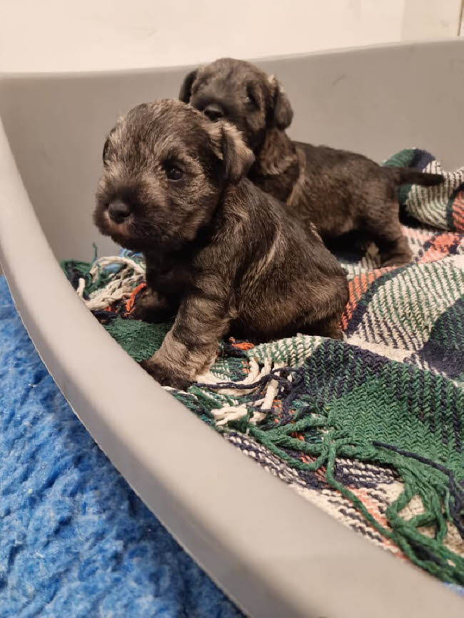 326261237_567022402149814_2706176240548200021_n