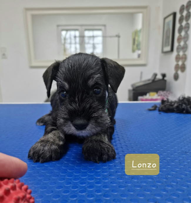 326345096_567205158458682_7160649935654739203_n