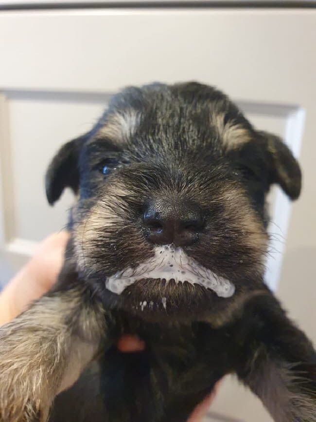 326348598_502699255314214_229896301675861467_n