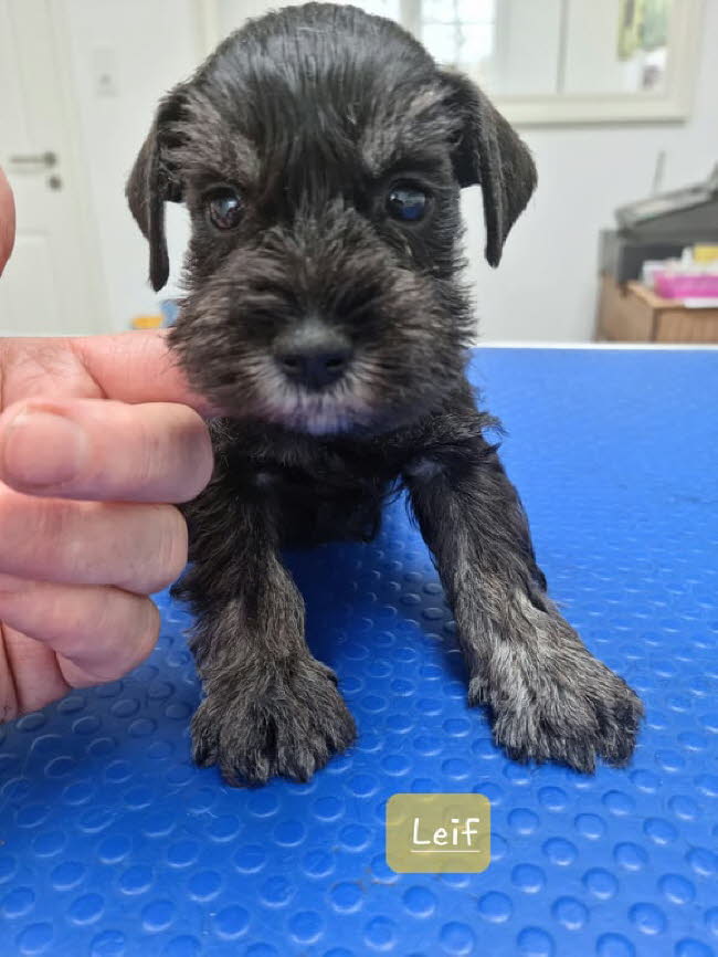 326374470_1307612906455486_6549241892022980704_n