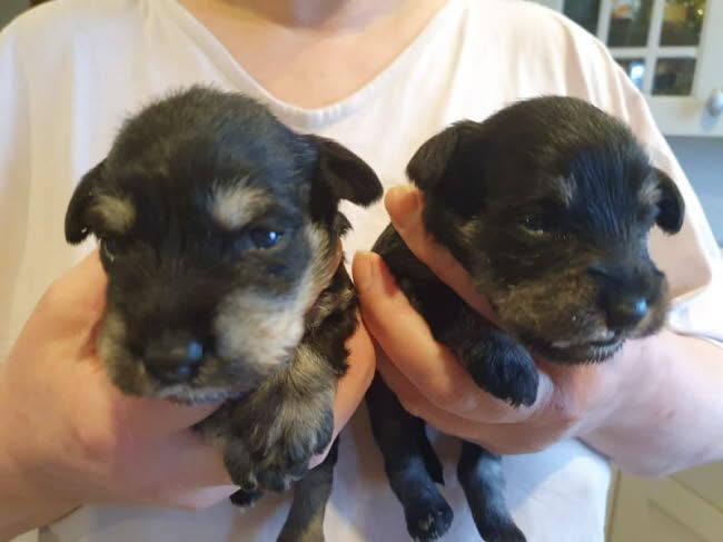 326386035_2109288669459723_7034354736436498940_n