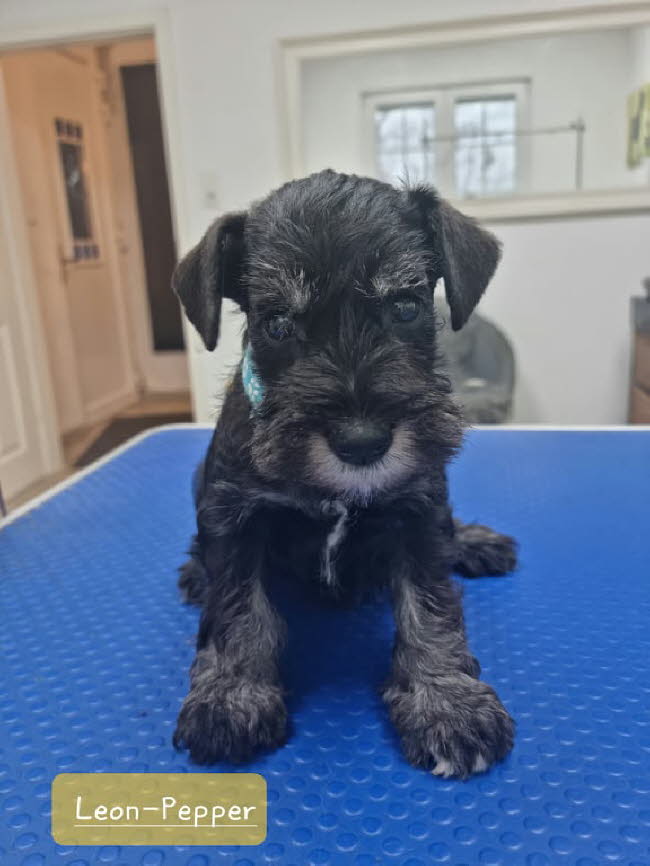 326429087_707234547798873_7524022676441599076_n