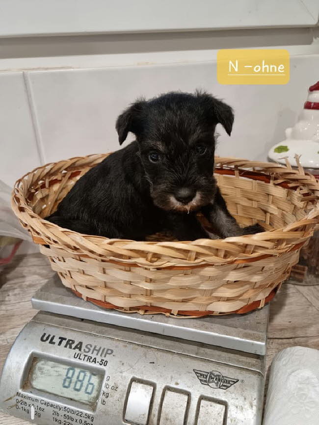 326466611_883659982889264_5800413747983989488_n