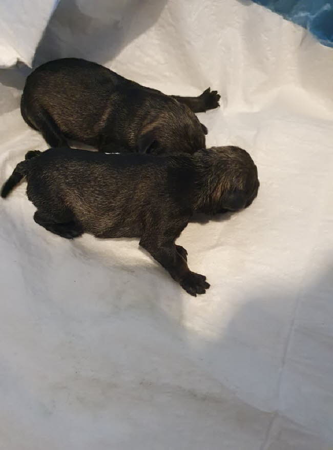 326528340_724166286118905_4230944057859617625_n