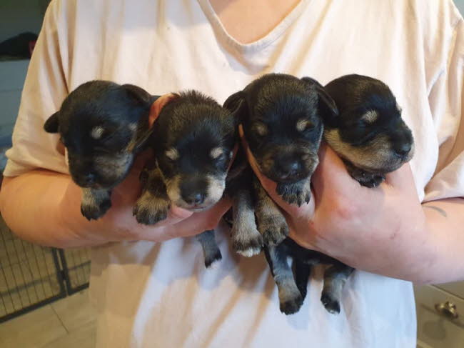 326528340_842041397095230_6199956549265676596_n