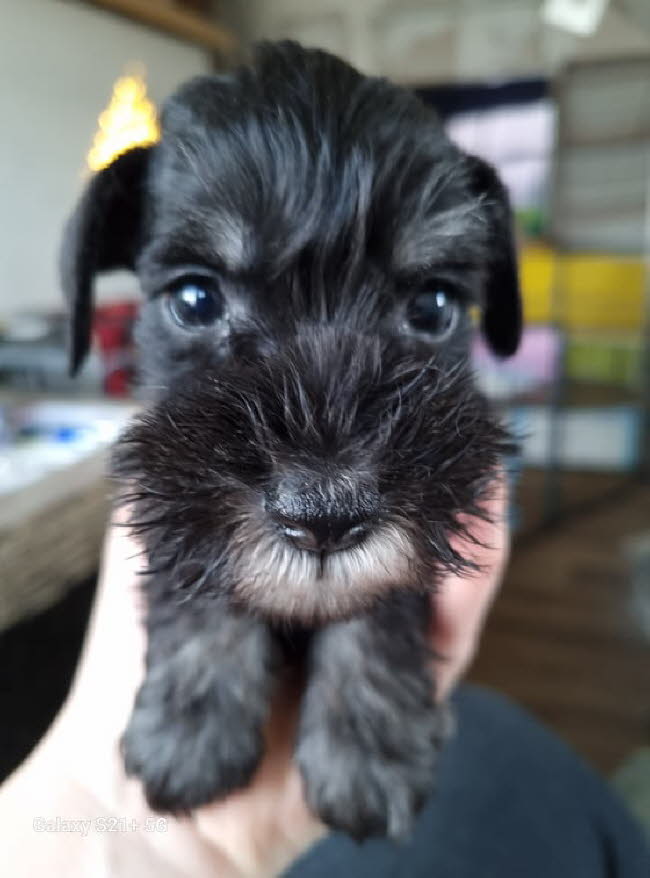 326533415_722909949379459_8646129693087260494_n